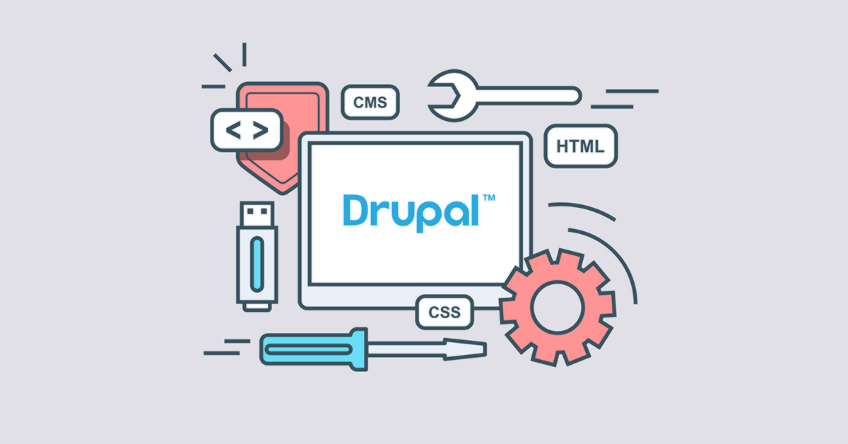 Drupal Entwickler